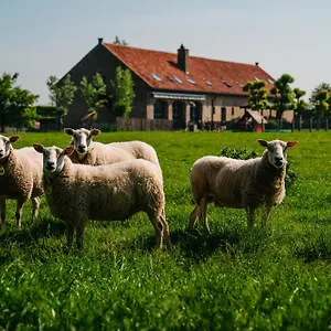 https://hoevehotel-ter-haeghe.bruges-hotels.info